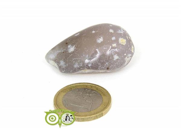 Grote foto agaat geodines ag ge rm 2 18 verzamelen overige verzamelingen