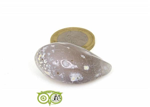 Grote foto agaat geodines ag ge rm 2 18 verzamelen overige verzamelingen