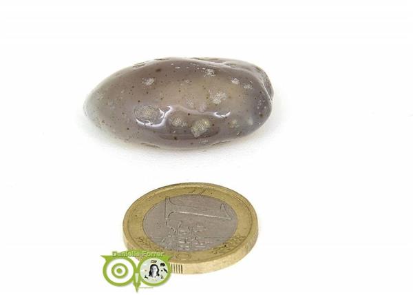 Grote foto agaat geodines ag ge rm 9 19 verzamelen overige verzamelingen