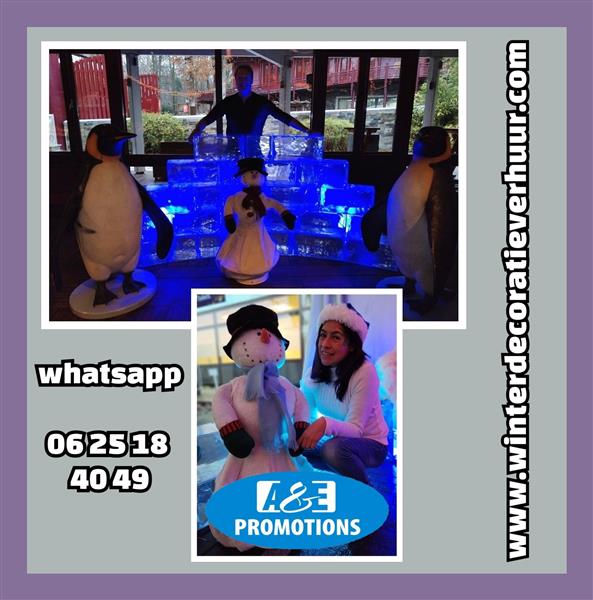 Grote foto ijskasteel entree verhuur ijsblokmuur turnhout diversen kerst