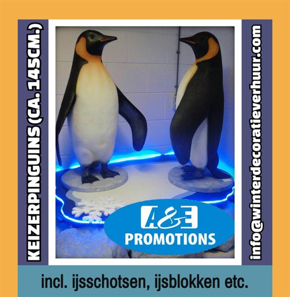 Grote foto ijspegels ijsschotsen rotsblok rekwisiet verhuur diversen versiering