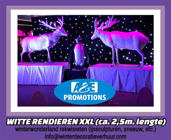 Grote foto santa rovaniemi lapland props brugge luik diversen kerst