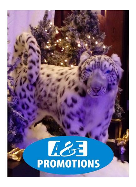 Grote foto knokke sneeuwpanter verhuur kerstetalering brabant diversen overige