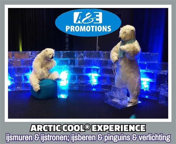 Grote foto verhuur den haag noordwijk kerstaankleding diversen kerst