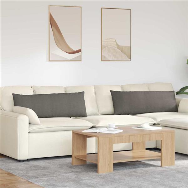 Grote foto vidaxl sofa kussens 2 stuks lichtgrijs 120 x 40 cm cordstof huis en inrichting woningdecoratie