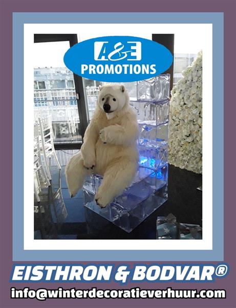 Grote foto verhuur alkmaar winterwonderland aankleding diensten en vakmensen entertainment