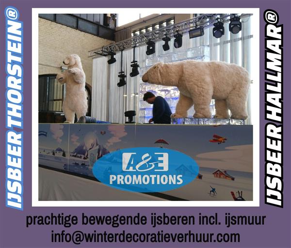 Grote foto verhuur winterwonderland lapland aankleding hobby en vrije tijd overige hobby en vrije tijd