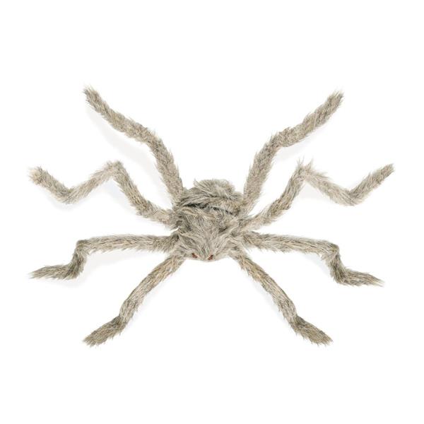 Grote foto halloween nep spin 75cm verzamelen overige verzamelingen