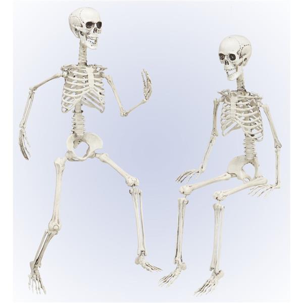 Grote foto halloween skelet beweegbaar 90cm verzamelen overige verzamelingen