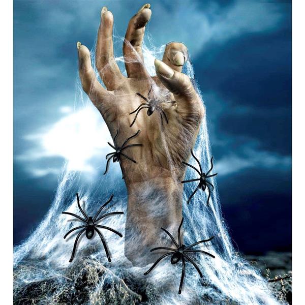 Grote foto halloween spinnenweb wit met spinnen verzamelen overige verzamelingen