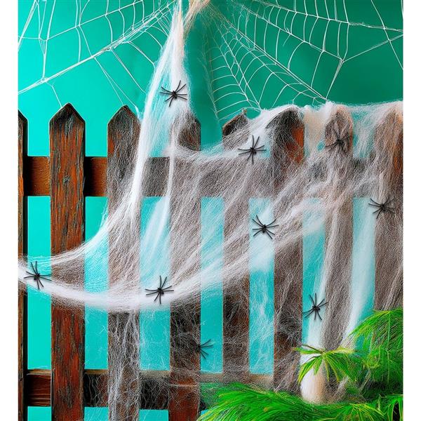 Grote foto halloween spinnenweb met spinnen 10 delig verzamelen overige verzamelingen