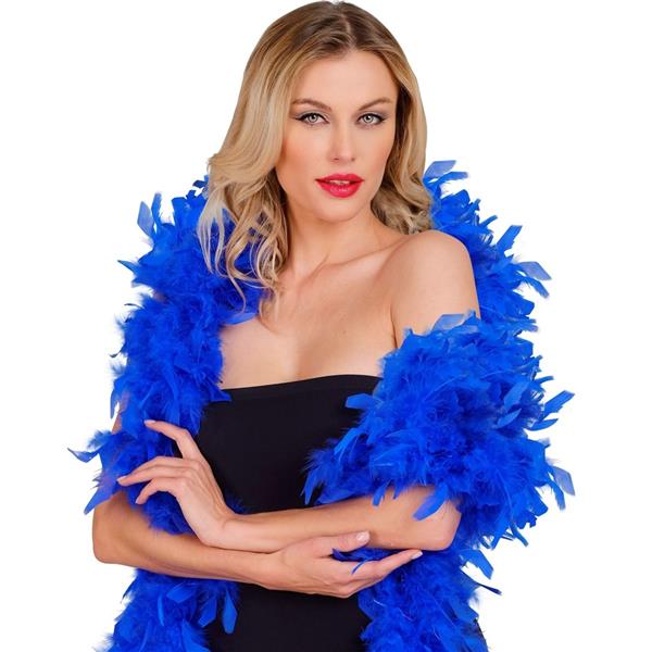 Grote foto blauwe boa veren 1 8m verzamelen overige verzamelingen