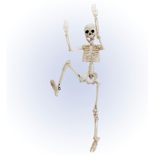 Grote foto halloween skelet wit 50cm verzamelen overige verzamelingen