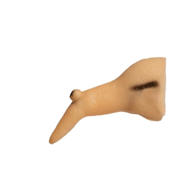 Grote foto halloween nep neus heks 10cm verzamelen overige verzamelingen