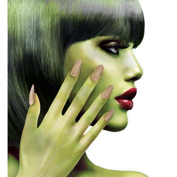 Grote foto halloween nepnagels heks verzamelen overige verzamelingen