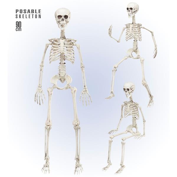 Grote foto halloween skelet beweegbaar 90cm verzamelen overige verzamelingen