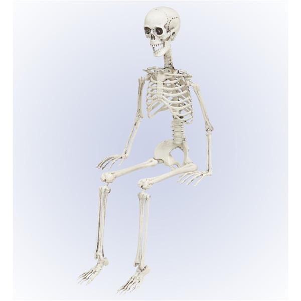 Grote foto halloween skelet beweegbaar 90cm verzamelen overige verzamelingen