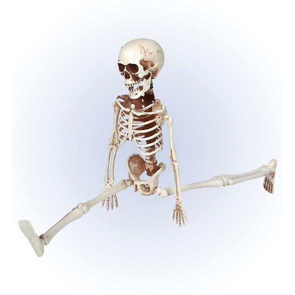 Grote foto halloween skelet beweegbaar 40cm verzamelen overige verzamelingen