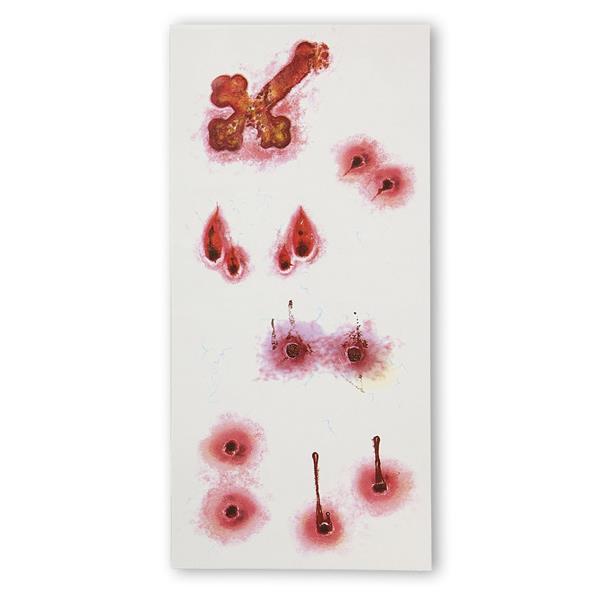 Grote foto halloween nep tattoos vampierebeten verzamelen overige verzamelingen