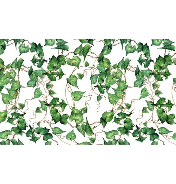 Grote foto bladeren tafelloper 5m verzamelen overige verzamelingen