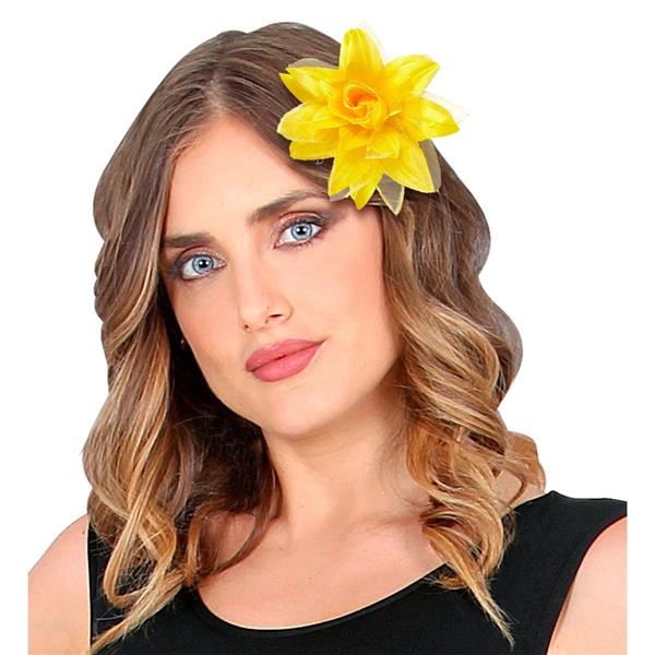 Grote foto gele haarbloem verzamelen overige verzamelingen