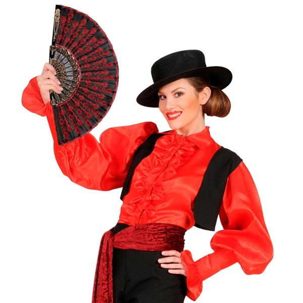 Grote foto spaanse waaier rood zwart verzamelen overige verzamelingen