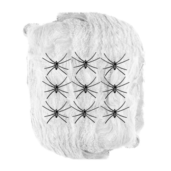 Grote foto halloween spinnenweb met spinnen 10 delig verzamelen overige verzamelingen