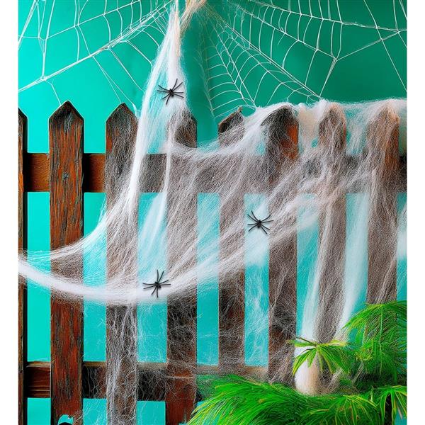 Grote foto halloween spinnenweb wit met spinnen 4 delig verzamelen overige verzamelingen