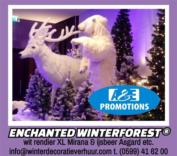 Grote foto poolwolf winterbos etalering huren limburg genk diensten en vakmensen entertainment