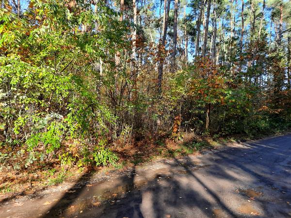 Grote foto te koop recreatiegrond diversen overige diversen