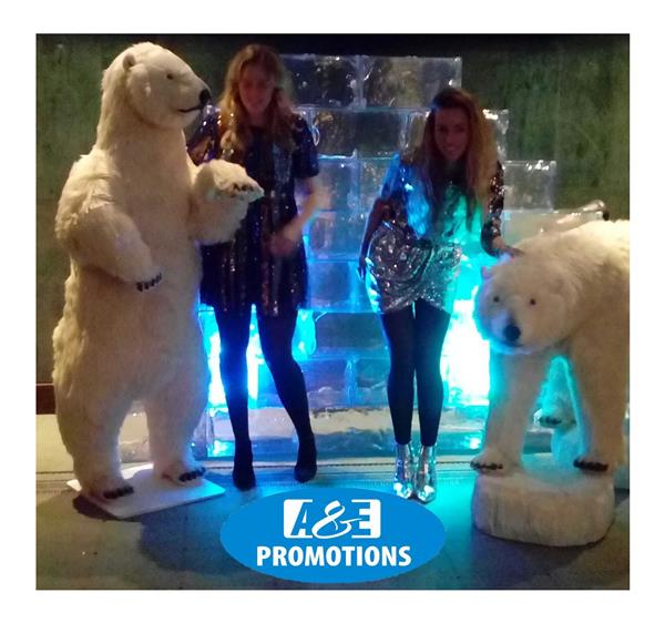 Grote foto rotsblokken ijsblok verhuur amsterdam haarlem diversen versiering