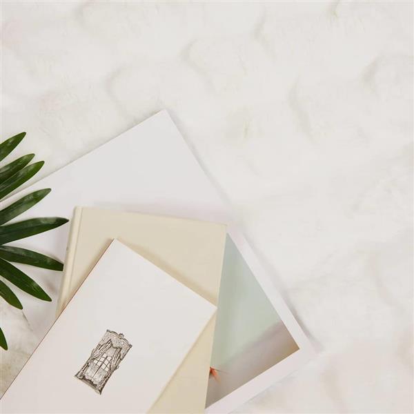 Grote foto vidaxl neppels konijnenbont deken 4 pcs wit 220 x 240 cm polyester huis en inrichting bedden