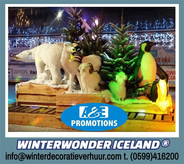 Grote foto noorderlicht effect verhuur noordpool decoratie hobby en vrije tijd feestartikelen verhuur