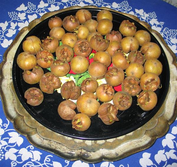 Grote foto mispelen of mispells agrarisch natuurbeheer