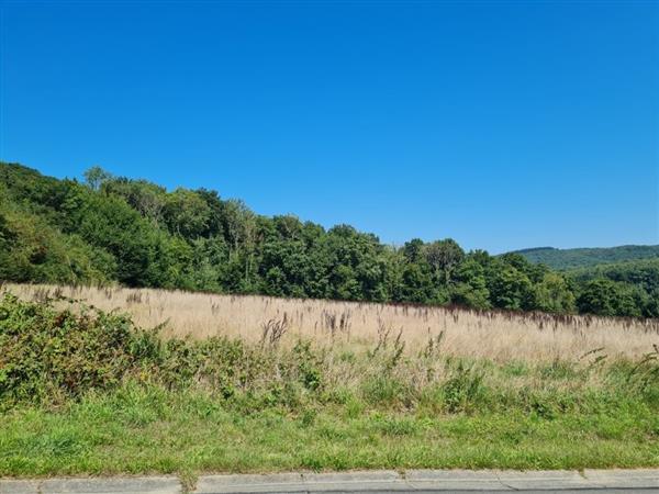 Grote foto ardennen 5544 agimont bouwgrond 51 are. huizen en kamers grondkavels