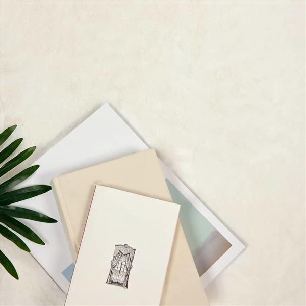 Grote foto vidaxl nep konijnenbont tapijt wit 120 cm polyester huis en inrichting vloerbedekking en kleden