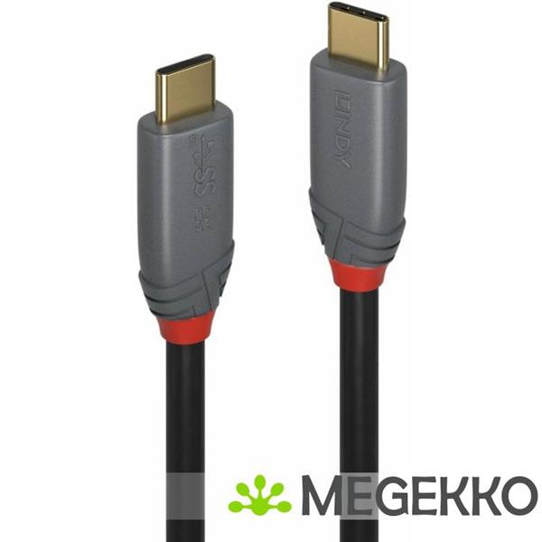 Grote foto lindy 36903 usb 3.2 gen 2x2 20gbps 100w usb type c 2m computers en software overige computers en software