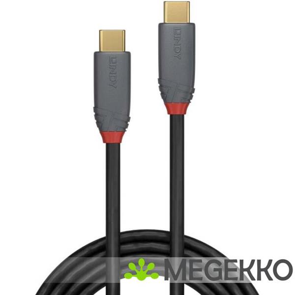 Grote foto lindy 36903 usb 3.2 gen 2x2 20gbps 100w usb type c 2m computers en software overige computers en software