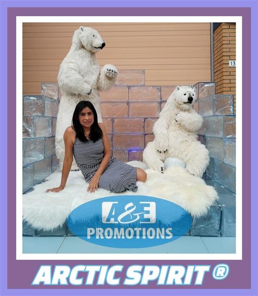 Grote foto amersfoort kerst sfeer aankleding verhuur putten diensten en vakmensen kerst