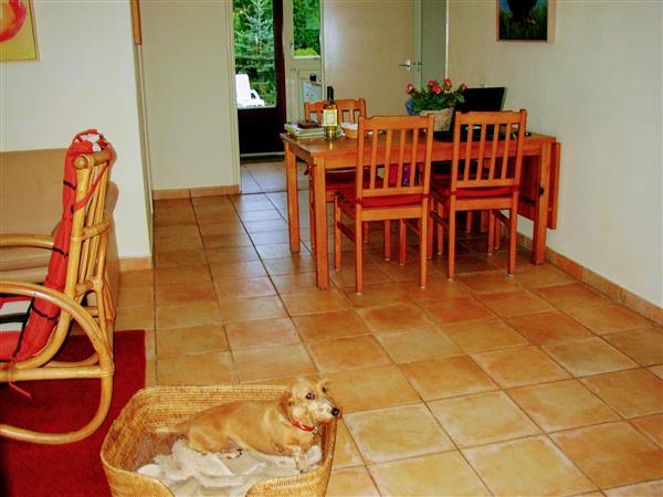 Grote foto zeeland 4p. vakantiebungalow te huur vakantie nederland zuid