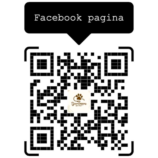 Grote foto dierenoppas freya in scherpenheuvel diensten en vakmensen honden verzorging oppas en les