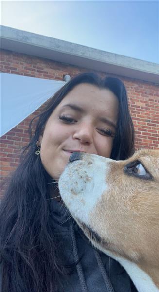 Grote foto dierenoppas freya in scherpenheuvel diensten en vakmensen honden verzorging oppas en les