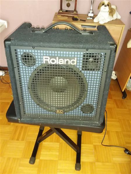 Grote foto roland keyboard versterker muziek en instrumenten versterkers keyboard monitor en pa