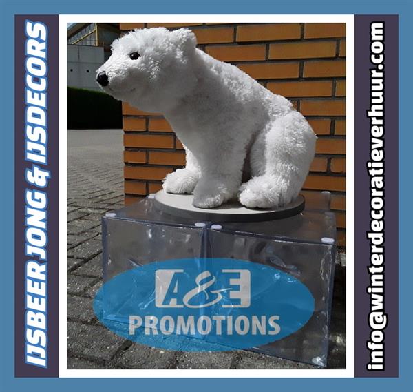 Grote foto sneeuw aankleding verhuur witte props brugge hobby en vrije tijd evenementen