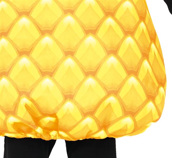 Grote foto ananas pak kind verzamelen overige verzamelingen