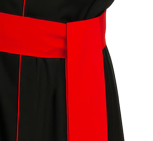 Grote foto priester kostuum zwart rood verzamelen overige verzamelingen