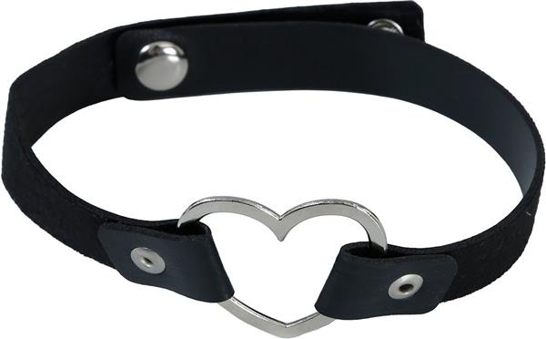 Grote foto hart ketting zwart zilver verzamelen overige verzamelingen