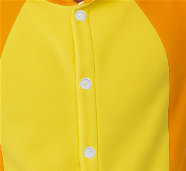 Grote foto dragoon adult verzamelen overige verzamelingen