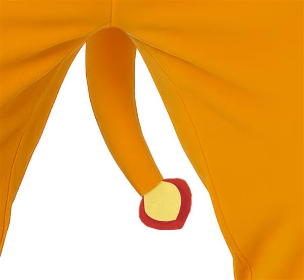 Grote foto dragoon adult verzamelen overige verzamelingen