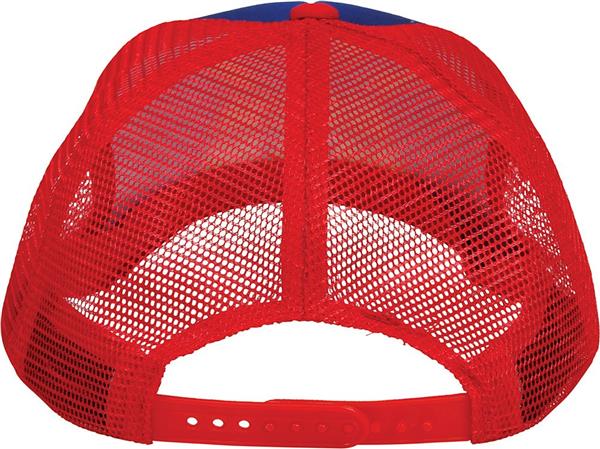 Grote foto pet beer man blauw rood verzamelen overige verzamelingen